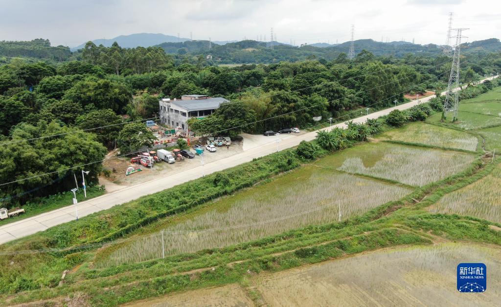 白菜彩金网址大全